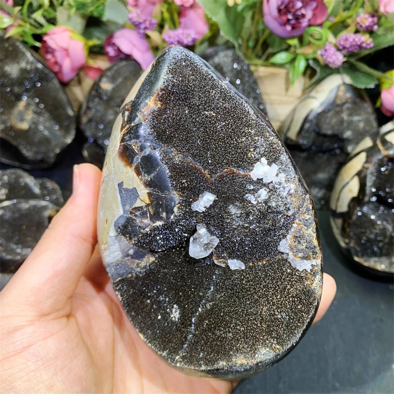 New Arrivals Natural Septarian Decoration Egg Crystal Healing Stone for Decoration