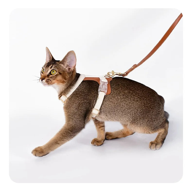 Adjustable Soft Kittens Vest with Reflective Strip for Cats Walking Escape Proof Cat Harness and Leash Set