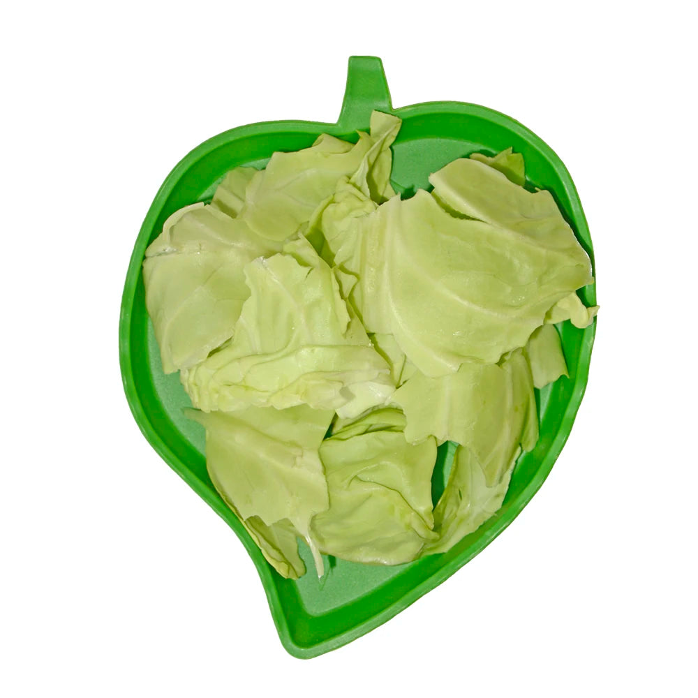 Leaf Shape Plastic Eco-Friendly Flat Drinking Bowl Water Plate for Reptile Food Turtle Lizards