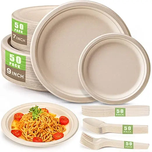 Biodegradable Kitchen Camping Disposable Bagasse Party Plate Cake Confectionery Dessert Catering with Spoon Birthday Wedding