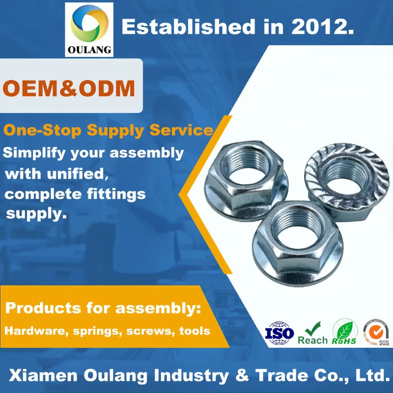 M8 M16 M20 18-8 Stainless Steel INOX SS SUS 304 316 316L A2 A4 70 80 Flange Nut Hex Hexagon Lock Nut DIN982 DIN985 Model M6
