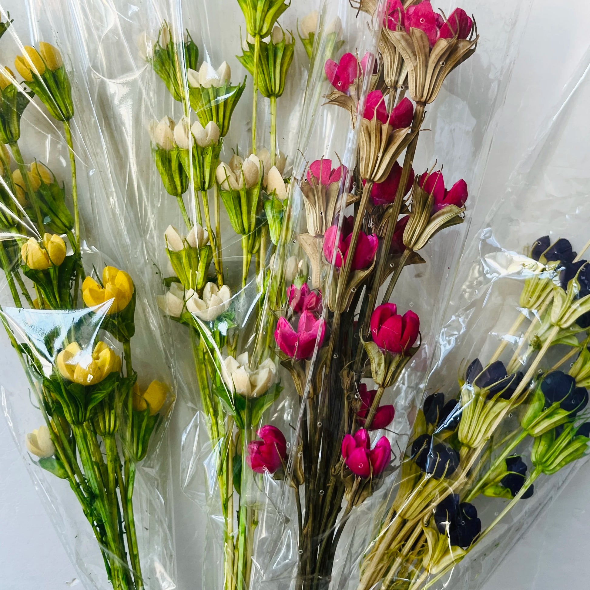 Acrylic Preserved Cotton Dried Flowers Pistachios-Luxury Handmade for Mother's Day Valentine's Day Graduation Christmas