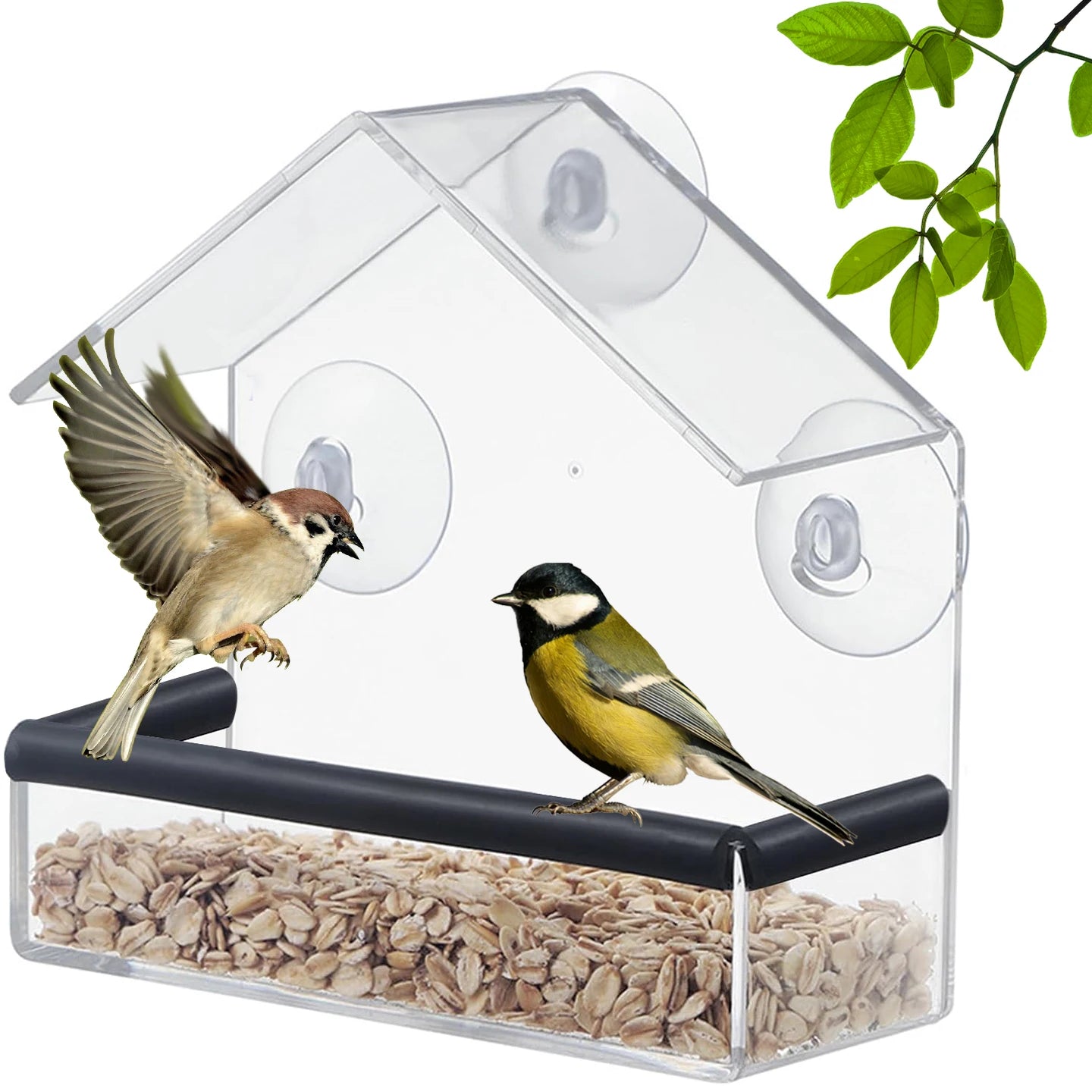 Wholesale Modern Design Acrylic Eco-Friendly Bird Feeder & House Strong Suction Cups for Outdoor Use for Cardinals Bluebirds