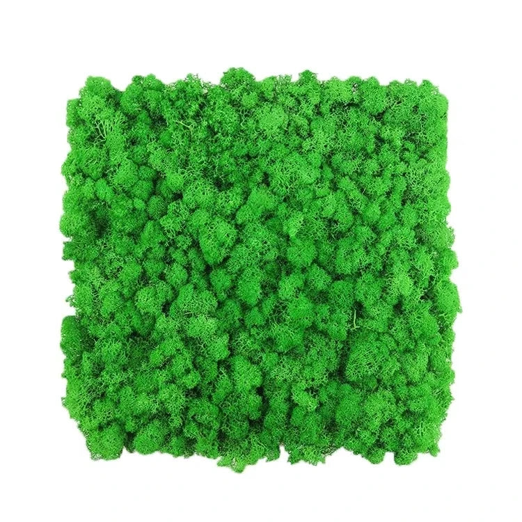 Wholesale 2026 Hot Sale Preserved Reindeer Moss Panels Natural Flower Christmas Wall Decor with Customized Color & Size