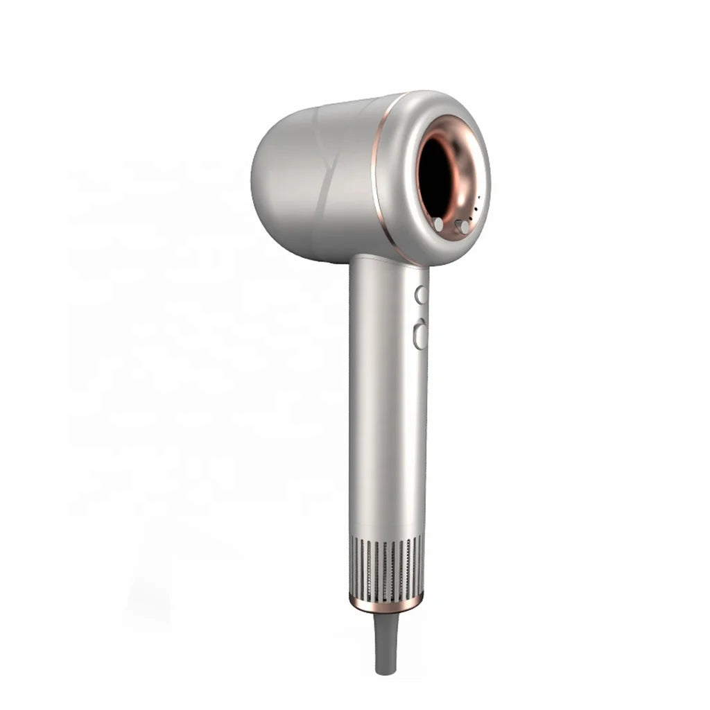 Hair Care Products High Speed Low Noise Hair Dryer 2024 New Product High Speed Hammer Industrial Hair Blower 700
