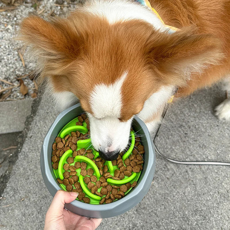 Custom Puppy Slow Feeding Pet Food Bowl Mat Silicone Dog Slow Eating Feeder Bowl for Dogs and Cats