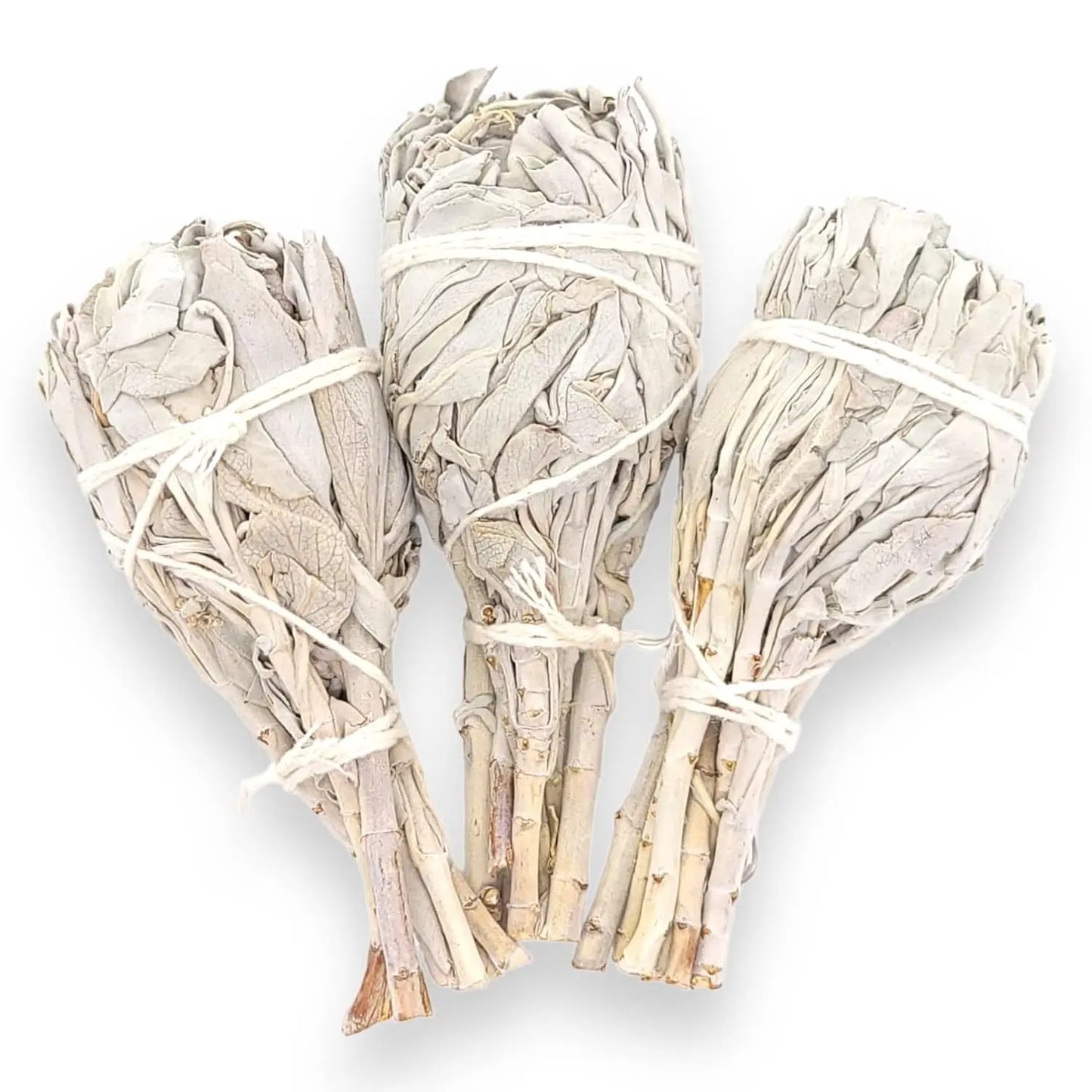 Torch Style White Sage Bundle Smudging Sticks Premium California White Sage 4 Inch Torch Wands Incense Home Cleansing Fragran