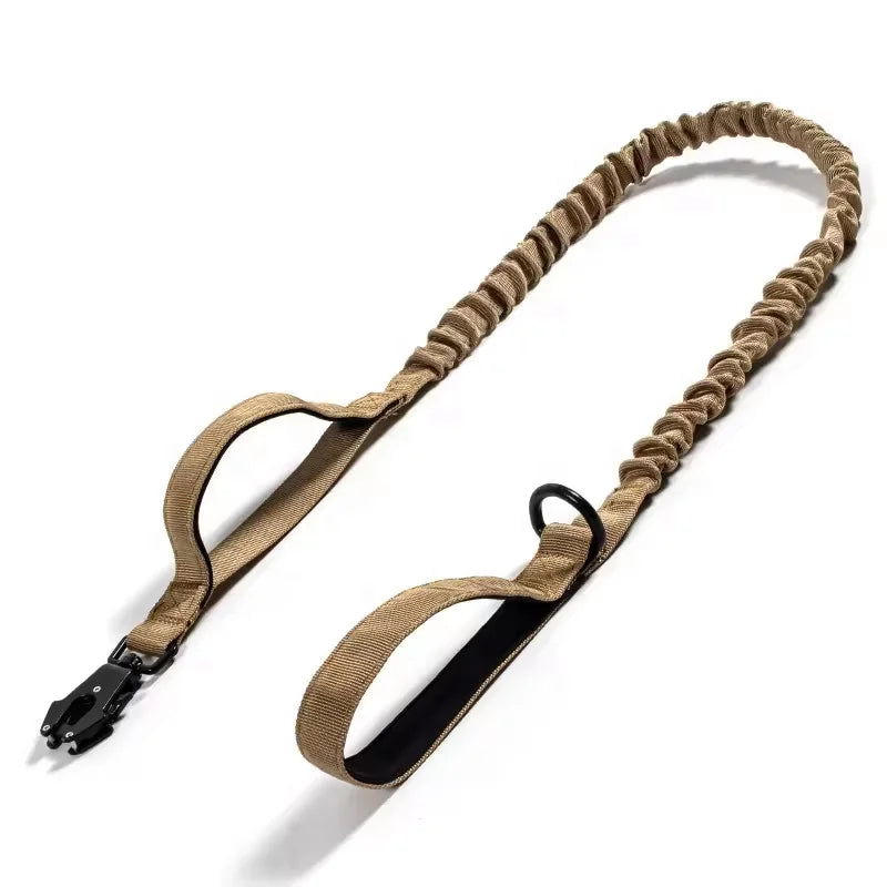 Top Seller Custom Nylon Webbing Heavy Duty Elasticity Training Pet Dog Leash Frog Buckle Adjustable Durable Pet Dog Leash Lea