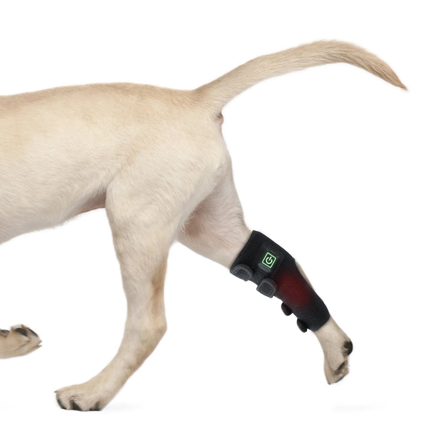 Anredar 660nm 850nm Near Infrared Red Light Therapy Pad 0 EMF for Dogs Cat Pet Pain Relief Paw