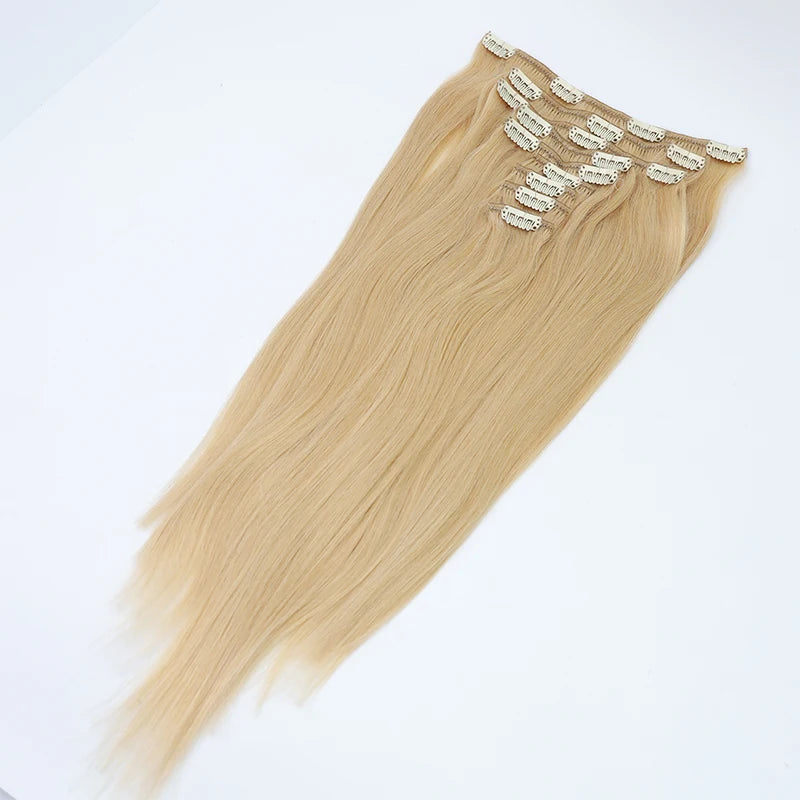 EMEDA 100% Russian Human Remy Clip on Hair Extensions Wholesale Natural Seamless Indian Clip in Hair Extension