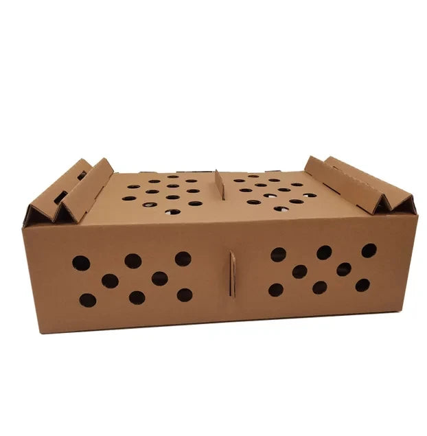 Wholesale Customized Die Cut Embossed Recyclable Corrugated Board Live Pet Poultry Chicks Transport Box Carton