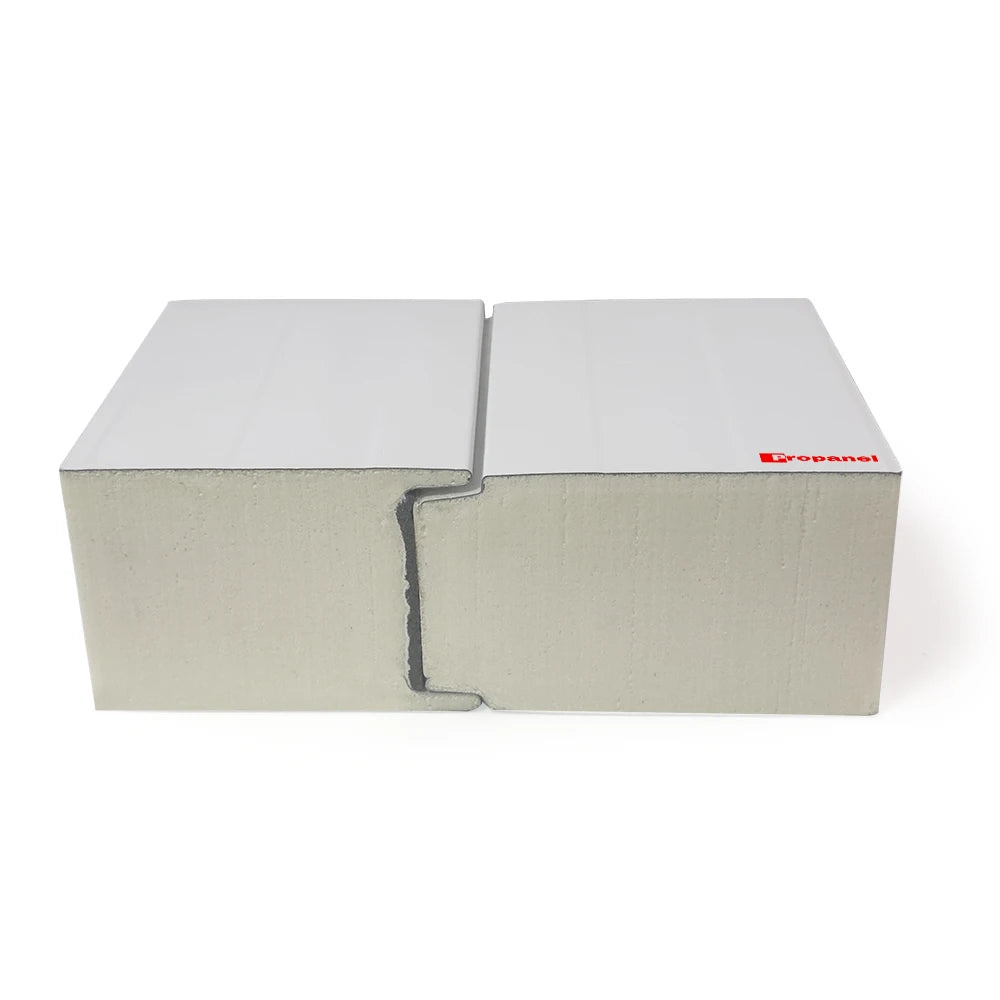 Vegetable Greenhouse PU Core Cold Storage Sandwich Panels 50mm-250mm Fire Resistant Eco-Friendly Cold Room Workshop & Hotel