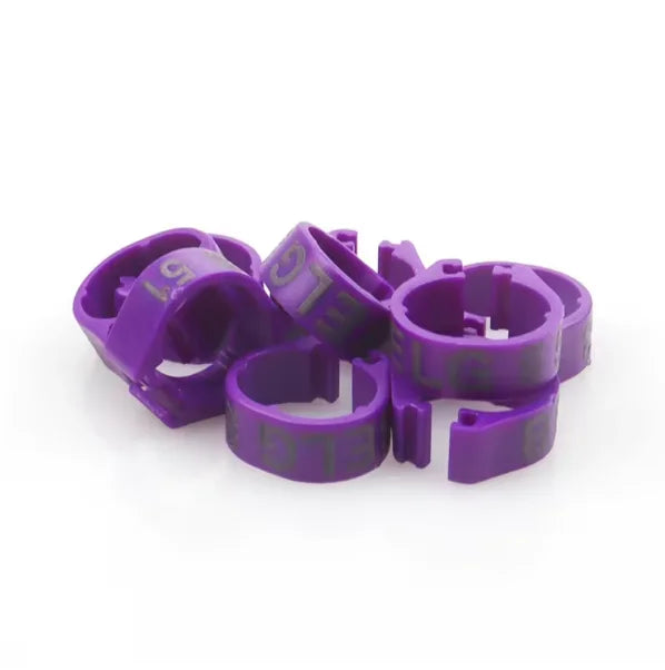 China Bird Canary Finch Parrot Split Ring 8mm Open Clip Plastic Bird Leg Bands Lovebirds Foot Ring for Pigeon