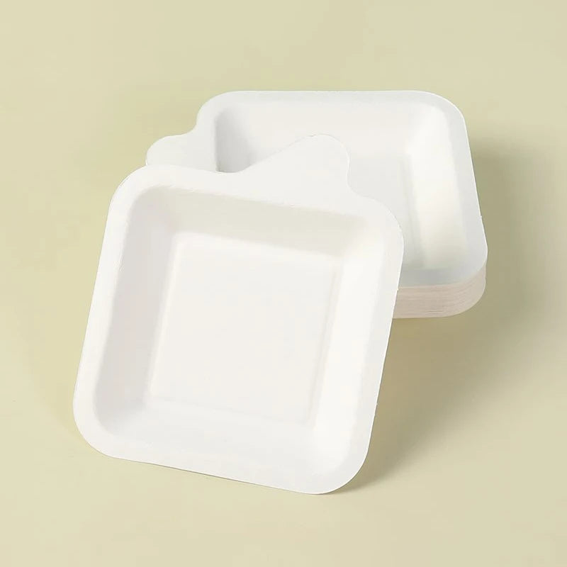 Wholesale White Square Sugarcane Bagasse Fiber Compostable Small Disposable Plate for Camping Cake Snack