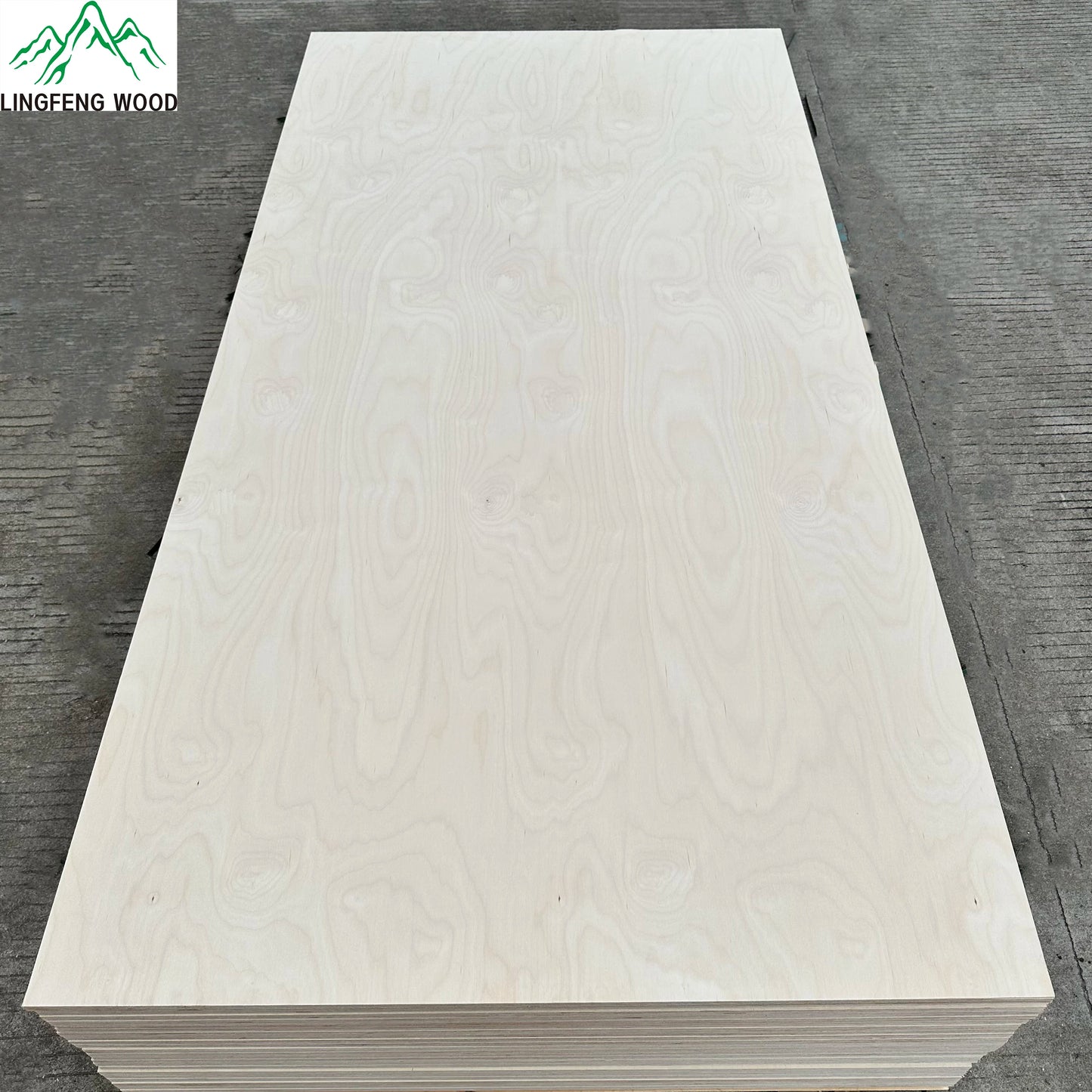 All Birch Plywood B/BB BB/BB 100% Baltic Birch Plywood Furniture Commercial Plywood