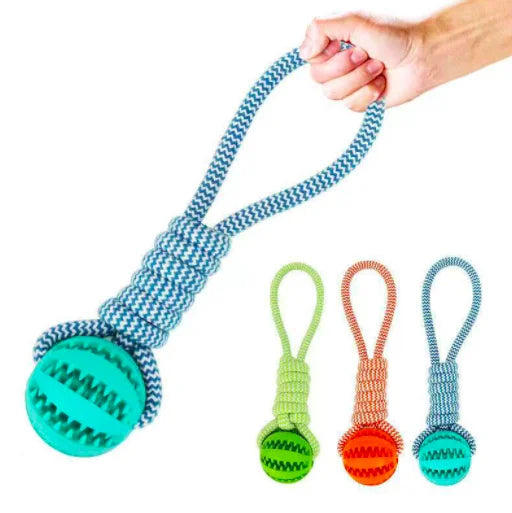 Pet Tooth Cleaning Chewing IQ Treat Ball Food Dispensing Bite Chew Knot Training Tugging Playing Rubber Rope Dog Ball Toys
