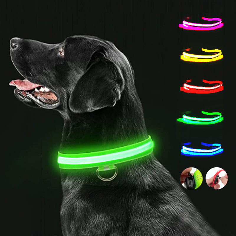 Electronic Pet LED Dog Collar Adjustable Flash Recharge Pet Collars Reflective LED Collar for Dog Night Anti-Lost Dog Product