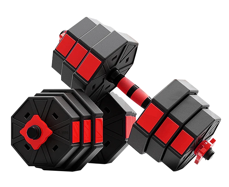 2 In1 Adjustable Hexagon Dumbbell Cement Dumbbells Set Weight Lifting Dumbbell With Gym Fitness
