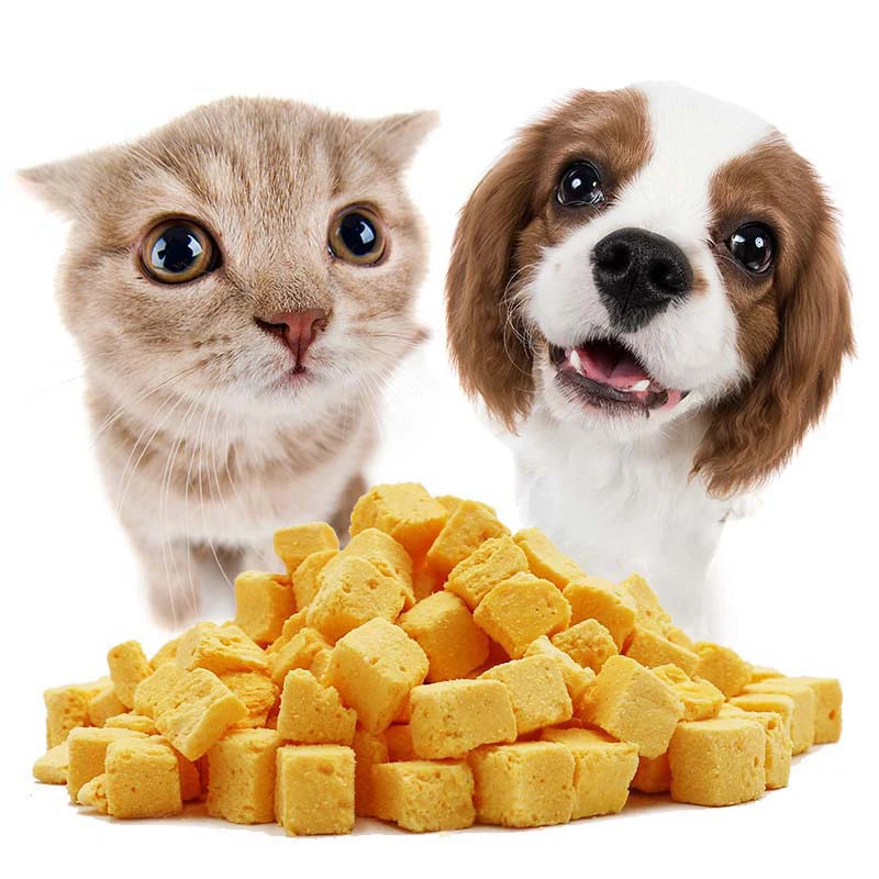 Wholesale freeze dried cheese cubes dog cat snacks additives free dog cat food