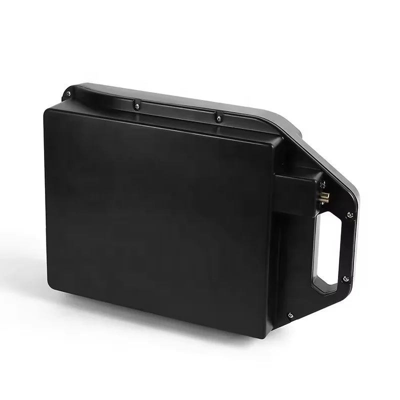 Factory Portability Citycoco Battery 60V 15Ah 20Ah 24Ah Waterproof Dismountable Lithium Ion Battery Pack