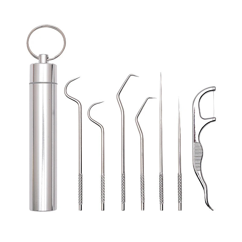 Stainless Steel Toothpick Set Tooth Flossing Reusable Toothpicks Portable Toothpick Floss Teeth Cleaner Oral Cleaning