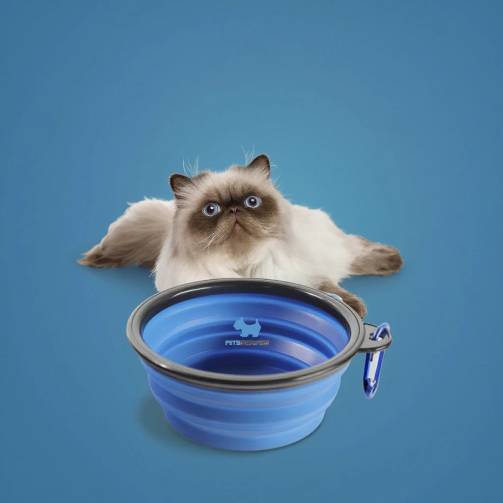 Personalized Multifunction Foldable Collapsible Silicone Water Food Feeder Automatic Travel Bowls for Dogs Cats Small Animals