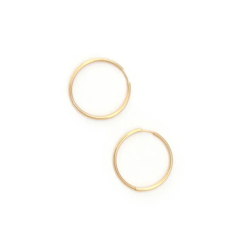 Fenny Waterproof Versatile Simple Circle Hoop Basic Earring Trend for Women Fast Delivary Wholesale Stainless Steel Ladies Je