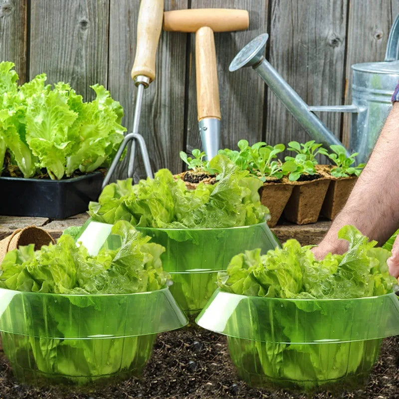 Snail and Slugs Traps Garden Plant Protection Cover Plastic Green Garden Cloche for Plant