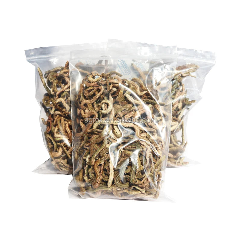 AlotFish Dry Green Lugworm Real Fishing Bait Sea Fishing Lure Natural 100g Smell Worm