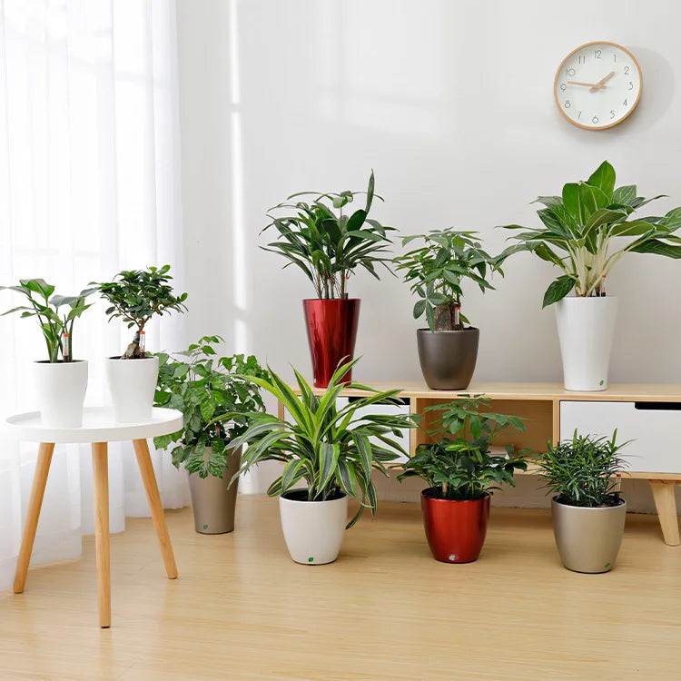 7 Inch Glazed Finish Plastic Plant Pot with Self-Watering System Small Size Desktop Decoration for Home Garden Use