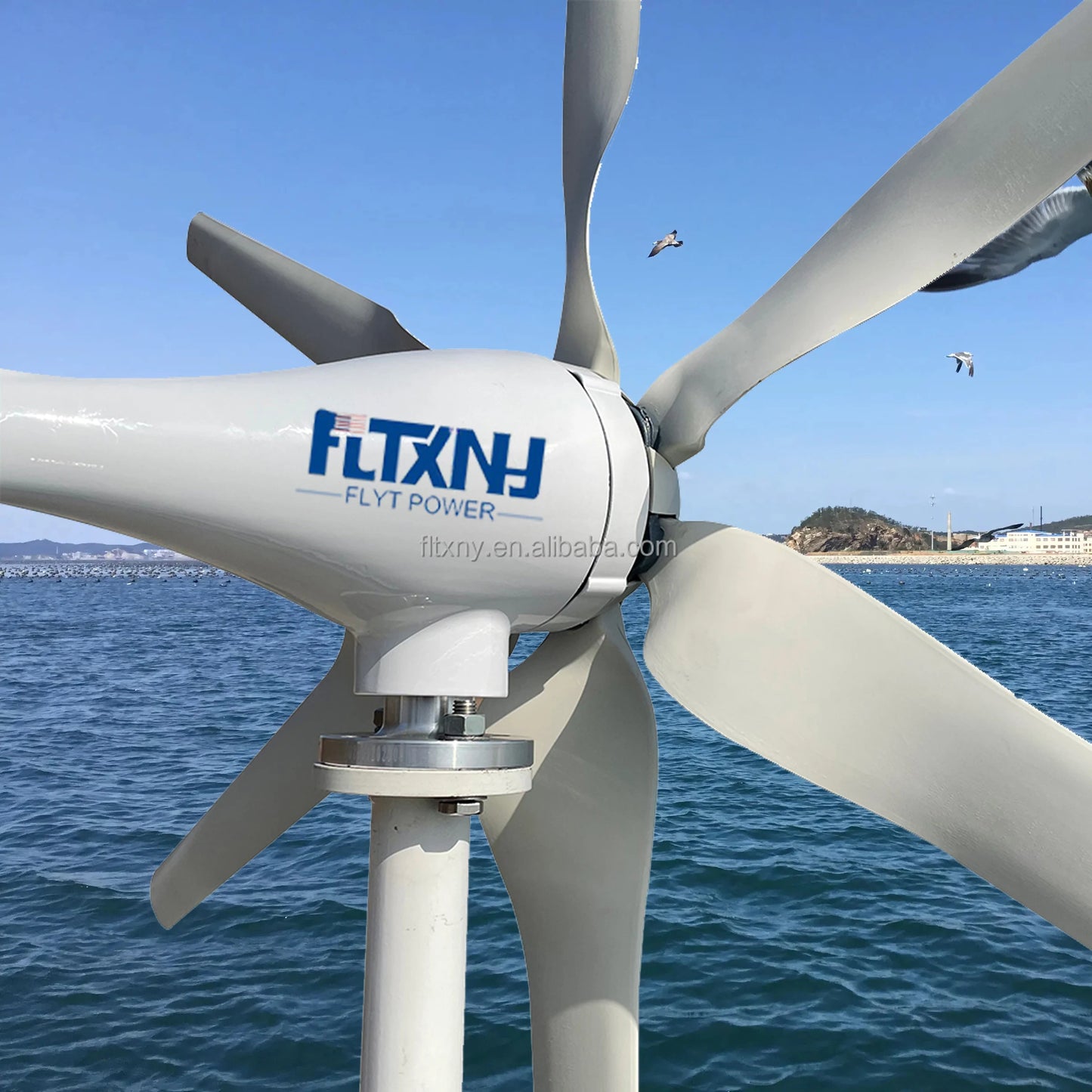 Poland Stock FLYT 1000W Permanent Magnet Generator Small Wind Turbine Wind Power Generation System 12V 24V 48V Wind Turbines