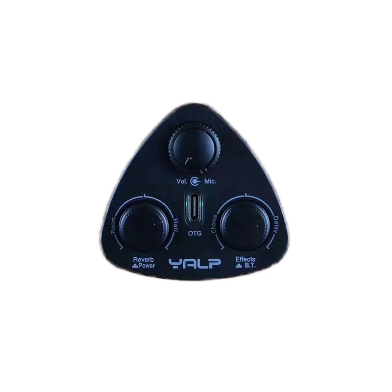 Guitar Pickup with Reverb BT Effect Mic