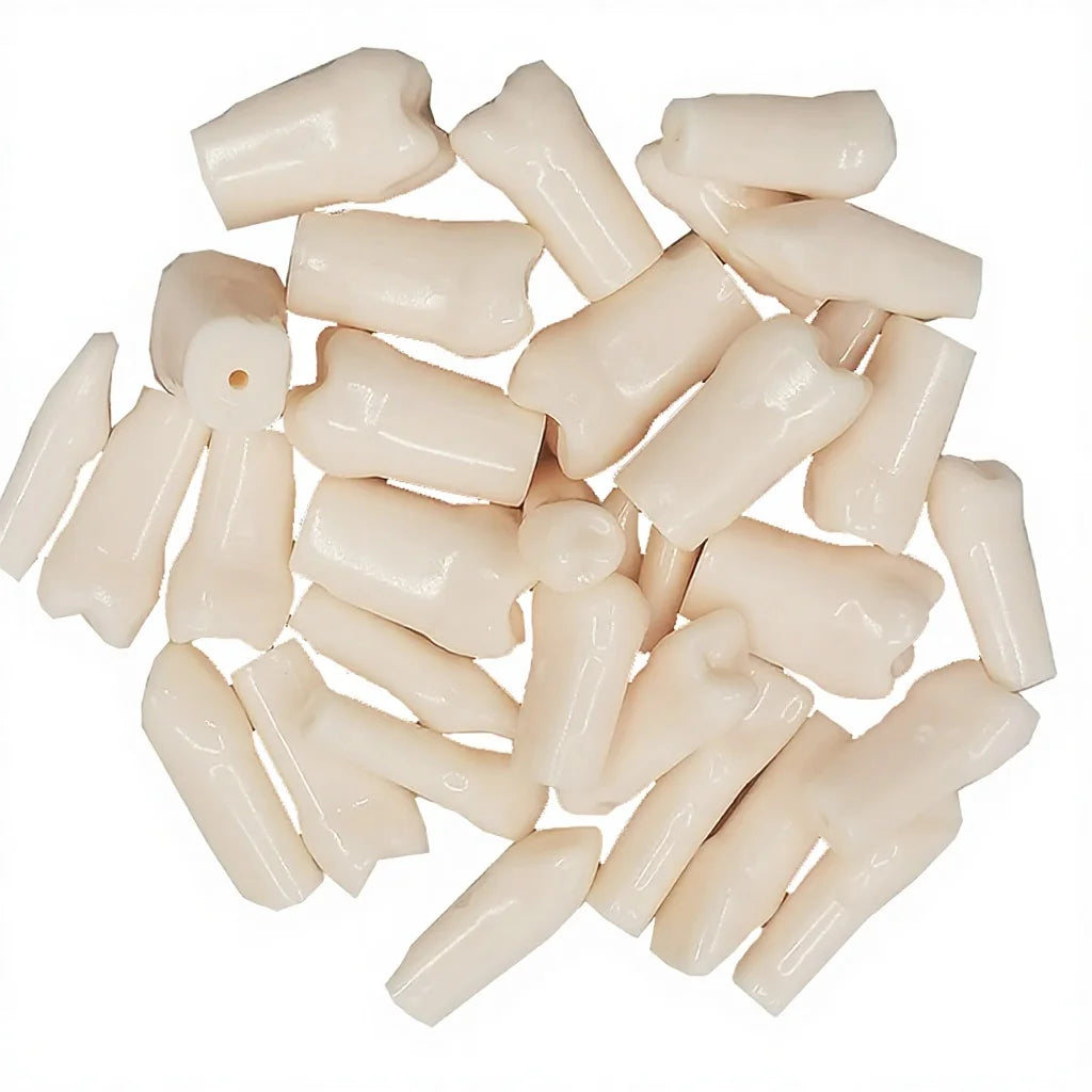 32pc/set Dental Training Model Teeth Model for Dental Technician Practice for PRO-2001-UL-UP-FEM-32 Dentistry Resin Tooth