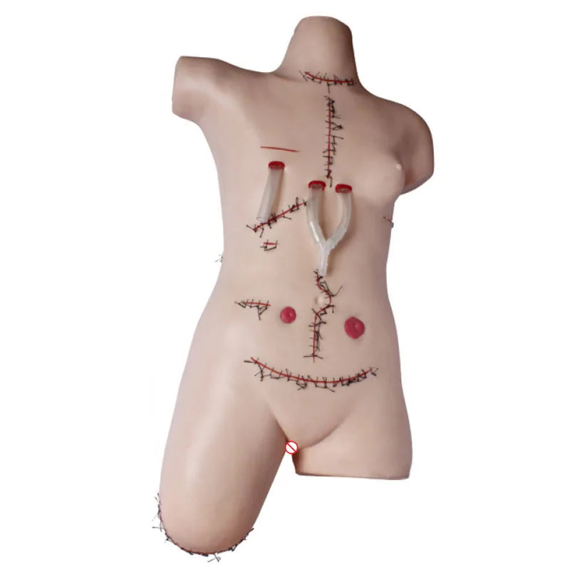 Surgical Suture Training and Bandage Display Model Anatomical Human Body Surgical Suture and Bandaging Model