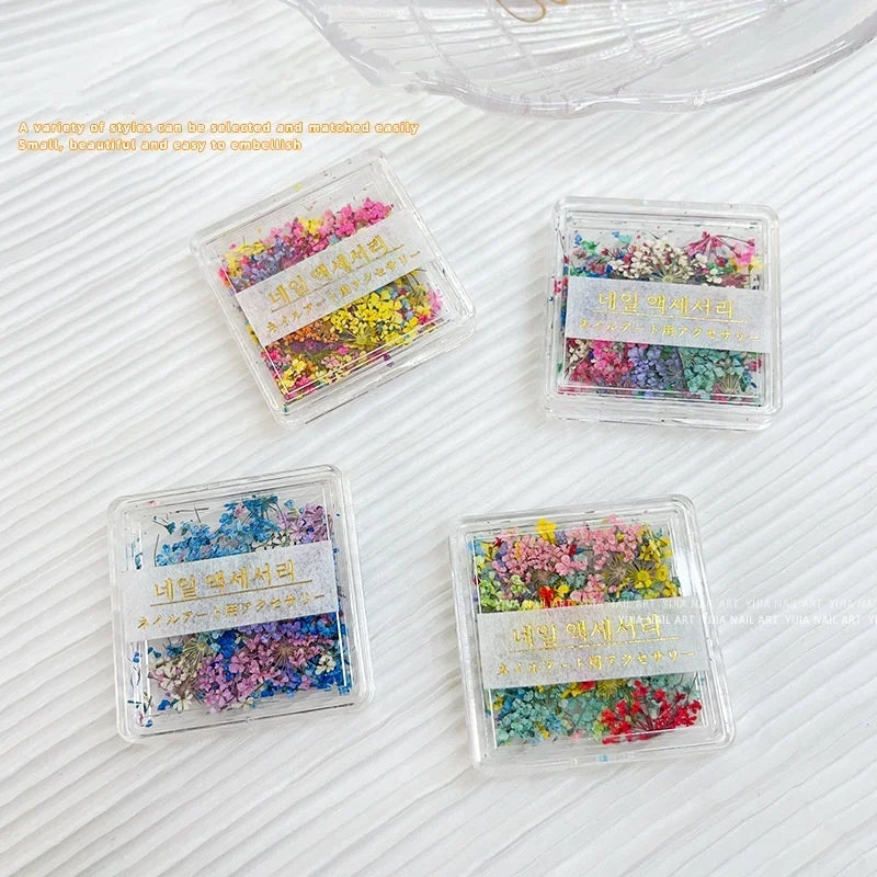 New Mini  Dry Flower Nail Ornaments Romantic Floral DIY Nail Decoration With Fairy Pastoral Mix Flowers Romantic