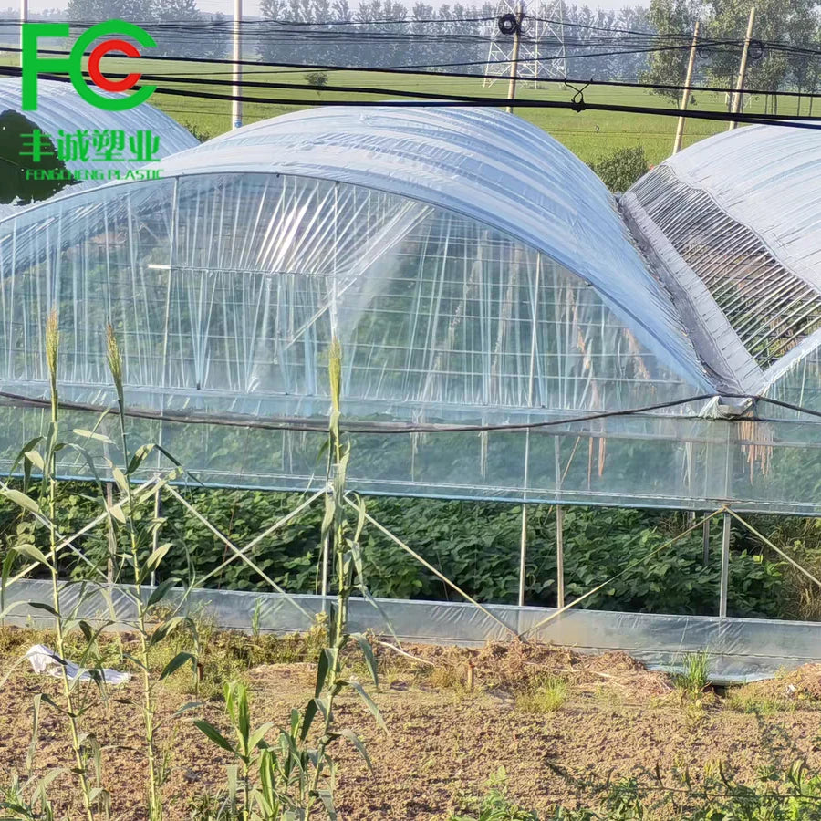 Agricultural Greenhouse Plastic Mushroom Greenhouse Tunnel Film Grow Equipment for Sale