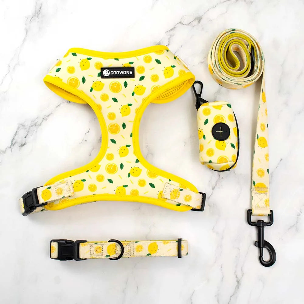 Custom Luxury Puppy Leash Collar Adjustable Pet Poop Bag Bandana Reversible Breathable Neoprene Dog Harness Sets