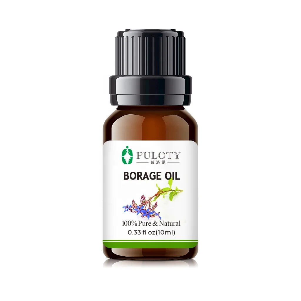 HAIRUI Supply OEM Borage Essential Oil With Wholesale Prices 100% Natural Borage Seed Oil