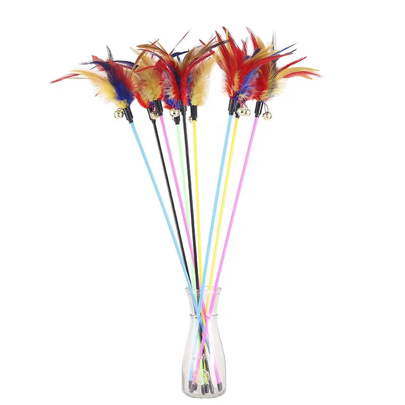 JIUZE 2024 New Long 61CM Plastic & Paper Cat Teaser Stick Interactive Toy with Feather for Cats