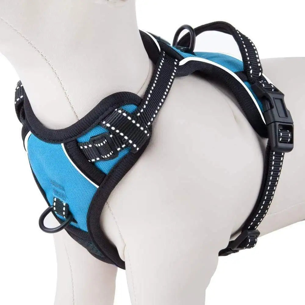 SinSky Hot Selling Dog Vest No Pull Dog Harness Leash Set Cats Chest Adjustable Reflective Pet Harness Vest for Small Dogs