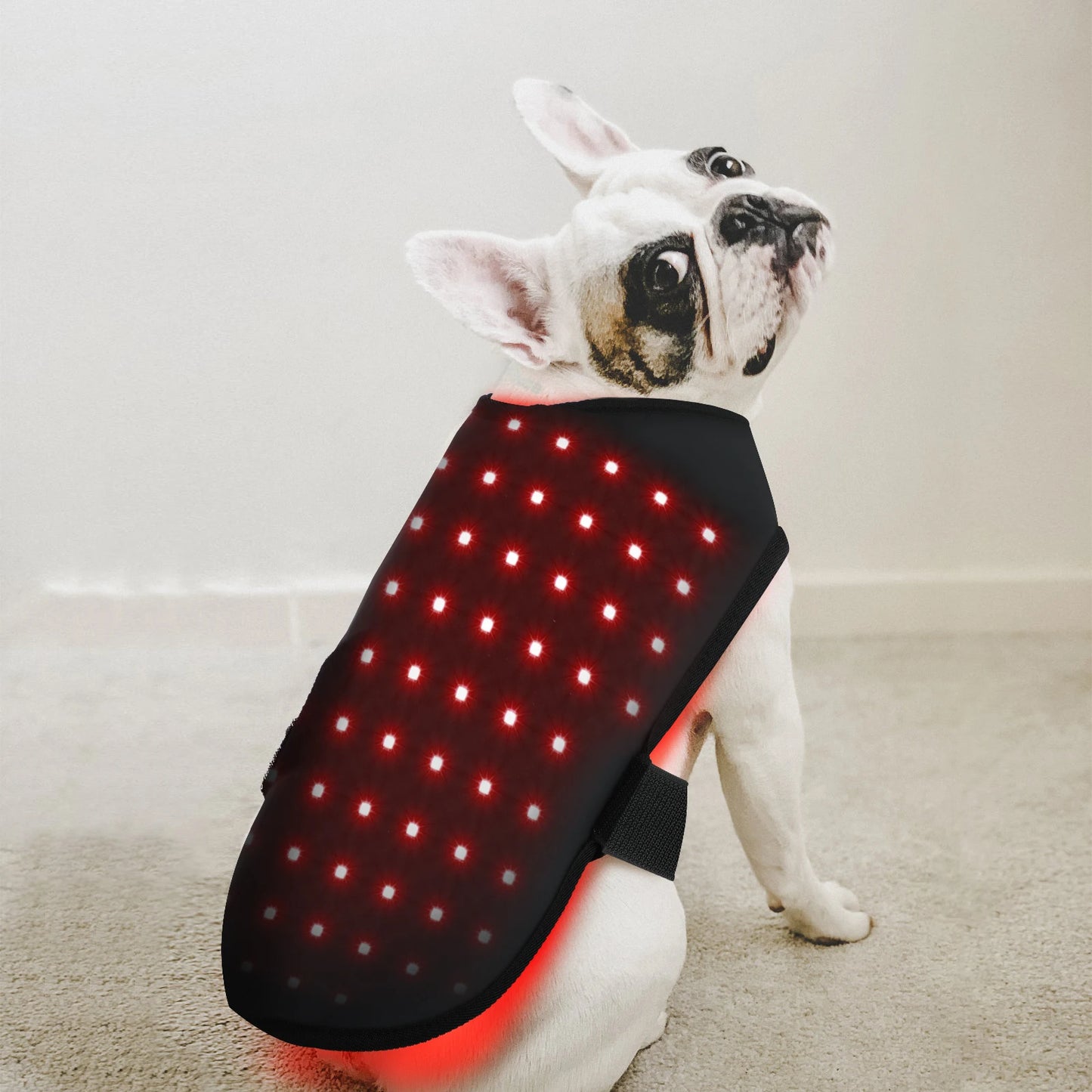 Anredar best 660nm 850nm physical pets therapy infrared light therapy mattress for dogs