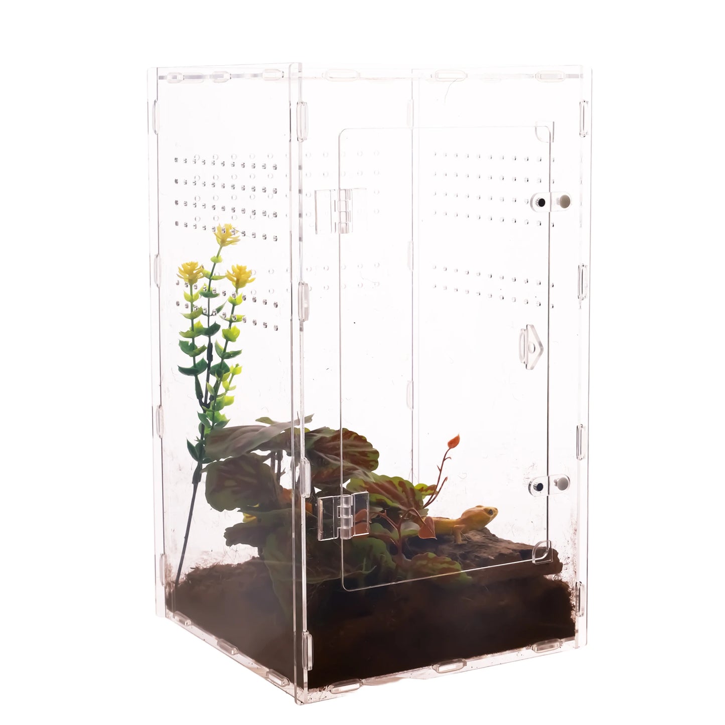 Customized Modern Jumping Spider Acrylic Display Case for Tarantula Pet Reptile Enclosure with Box Packaging