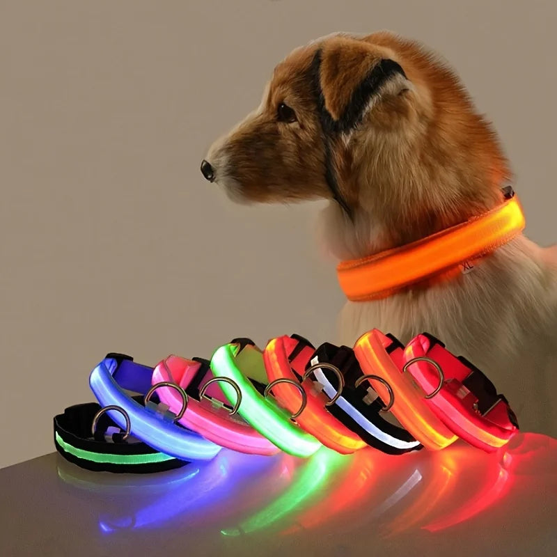 Correa LED de nailon para perro, seguridad nocturna, parpadeante, que brilla en la oscuridad, luminosa, fluorescente, p…
