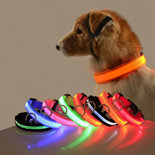 Correa LED de nailon para perro, seguridad nocturna, parpadeante, que brilla en la oscuridad, luminosa, fluorescente, p…