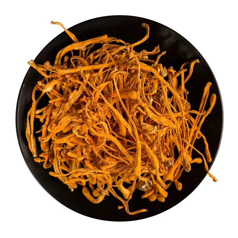 Bulk Cordyceps Militaris Flowers Big Head Dried Top Grade Premium Mushroom Organic for Extract/Powder/Cooking