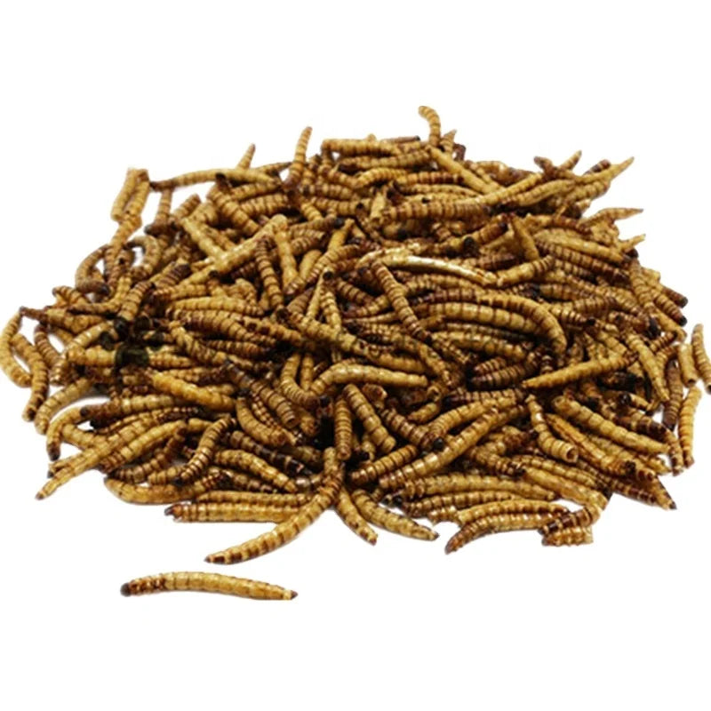 Microwaved Dried Mealworm Bird Food Pets Food Animal Food