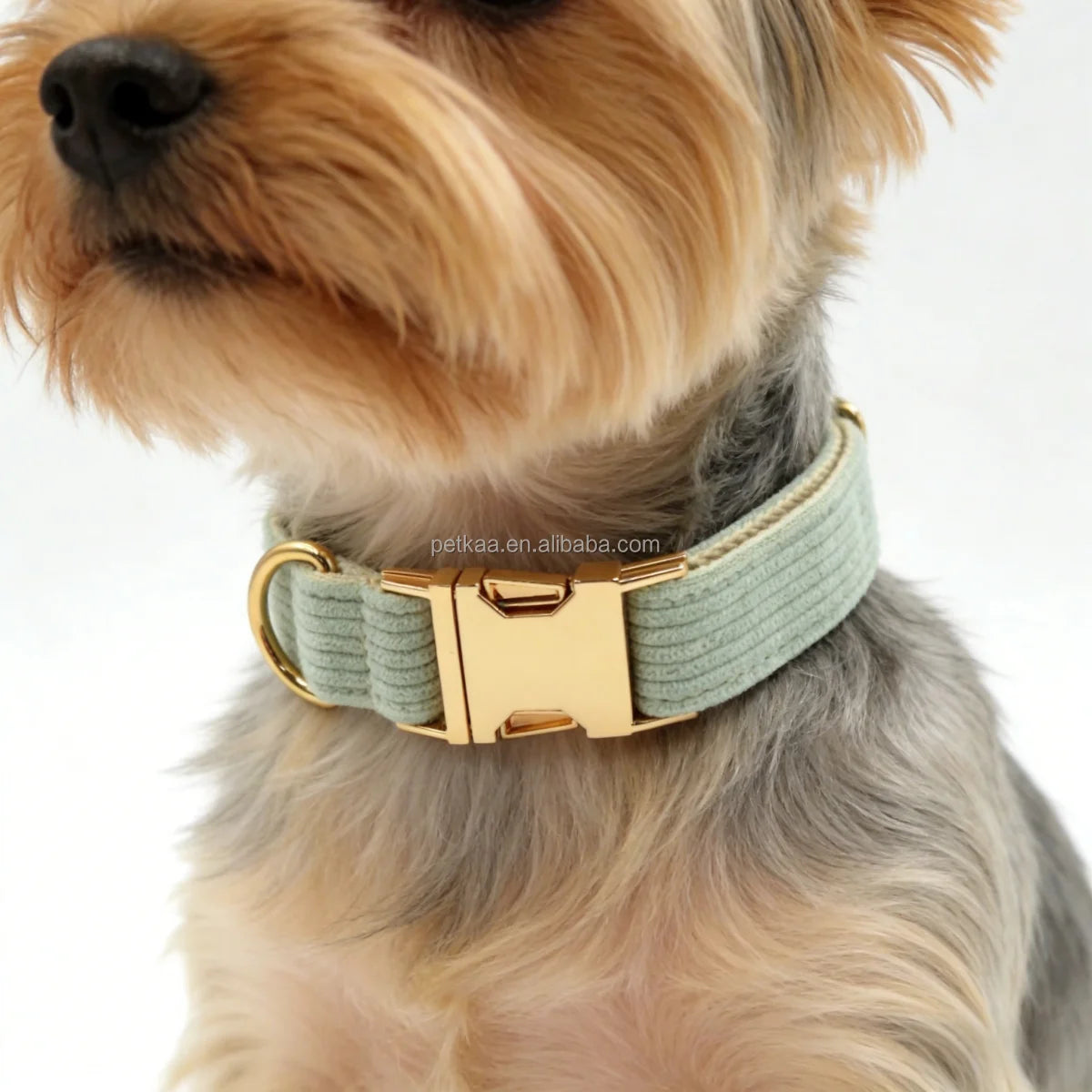 High Quality Luxury Corduroy Dog Collar with Leash Bow Comfortable Harness Sets Accessories in Stock Factory Directly Wholesale