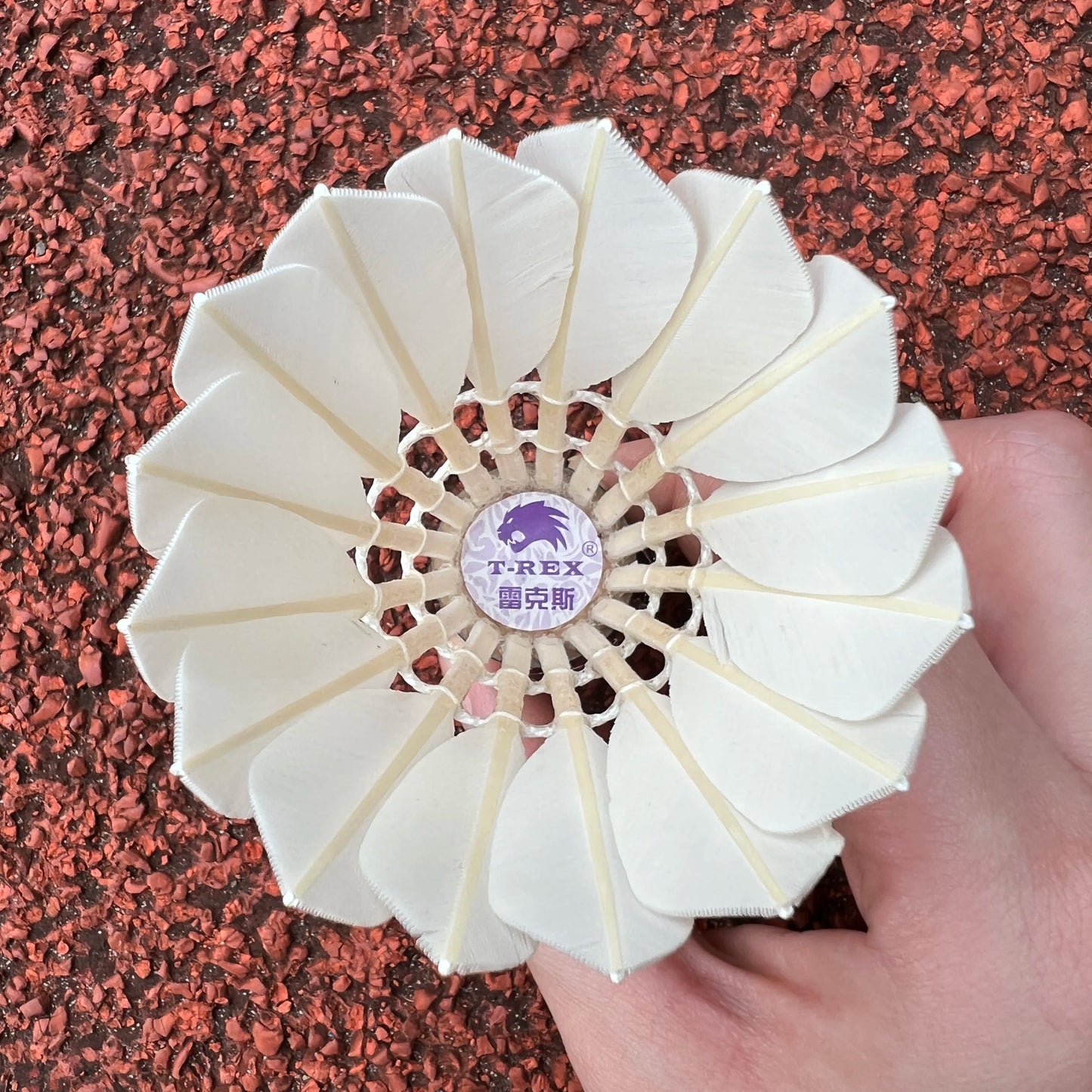 Libotai Tournament Level White Shuttlecock with Class a Duck Feather 2 Layer Cork Head 4.9g Speed 74-79 Model CG-A2 Custom Logo
