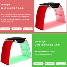 Máscara de vapor LED de 7 colores para el cuidado facial de la piel fotón terapia PDT rejuvenecimiento blanca
