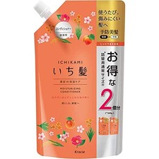 [Producto antiguo] Ichikami denso doble cuidado hidratante acondicionador recarga 2 veces